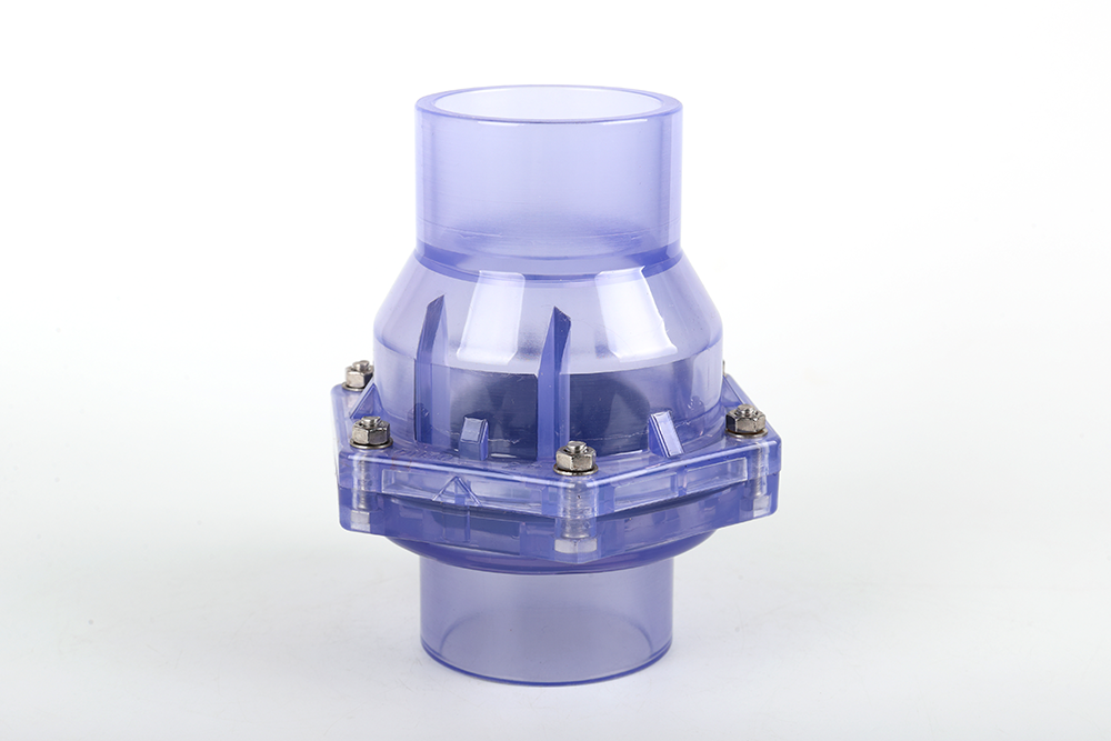 南靖透明翻板式止回阀